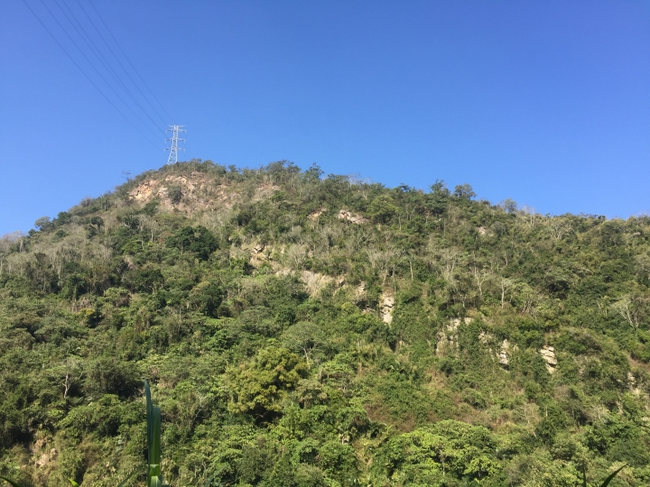 神鵝瞎旅之:探查國姓鄉 有梅有發現瀑布 這回事