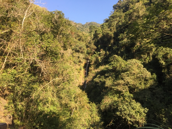 神鵝瞎旅之:探查國姓鄉 有梅有發現瀑布 這回事