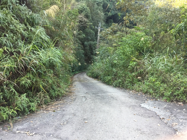神鵝瞎旅之:探查國姓鄉 有梅有發現瀑布 這回事