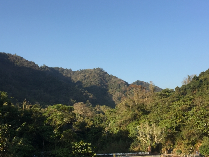 神鵝瞎旅之:探查國姓鄉 有梅有發現瀑布 這回事