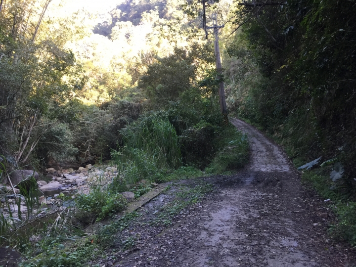 神鵝瞎旅之:探查國姓鄉 有梅有發現瀑布 這回事