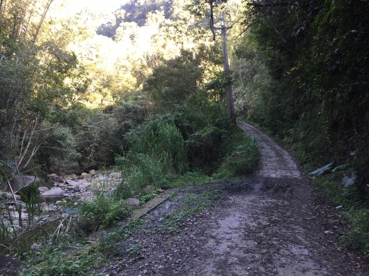 神鵝瞎旅之：探查國姓鄉 有梅有發現瀑布 這回事