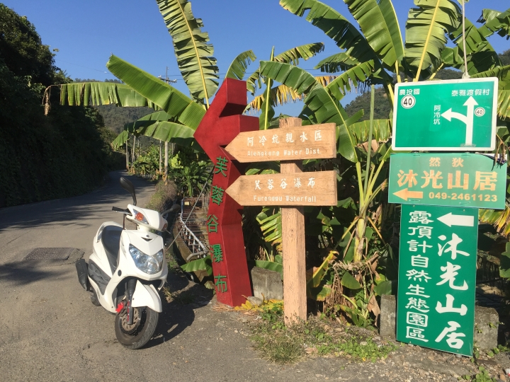 神鵝瞎旅之:探查國姓鄉 有梅有發現瀑布 這回事