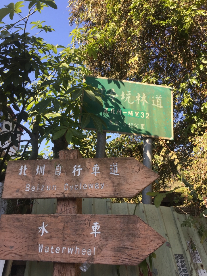 神鵝瞎旅之：探查國姓鄉 有梅有發現瀑布 這回事