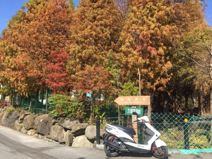 神鵝瞎旅之:探查國姓鄉 有梅有發現瀑布 這回事
