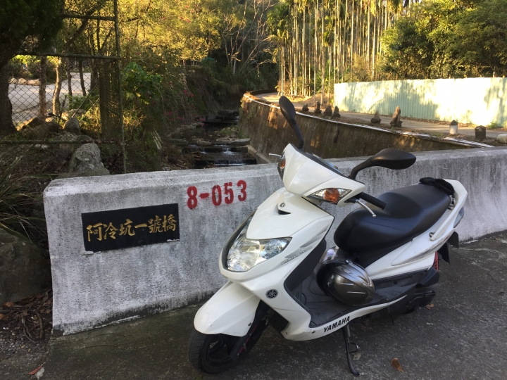 神鵝瞎旅之:探查國姓鄉 有梅有發現瀑布 這回事