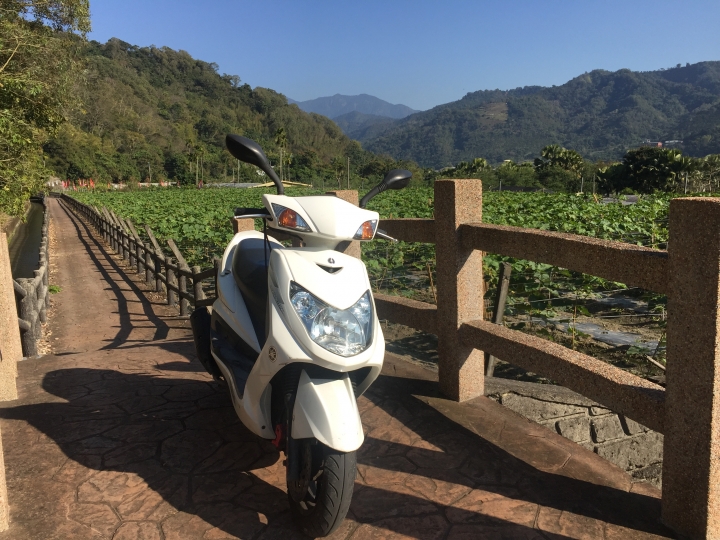 神鵝瞎旅之:探查國姓鄉 有梅有發現瀑布 這回事