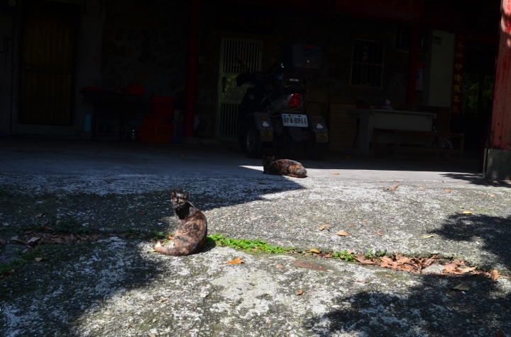 《登山輕漫遊》瑞芳猴硐大粗坑古道
