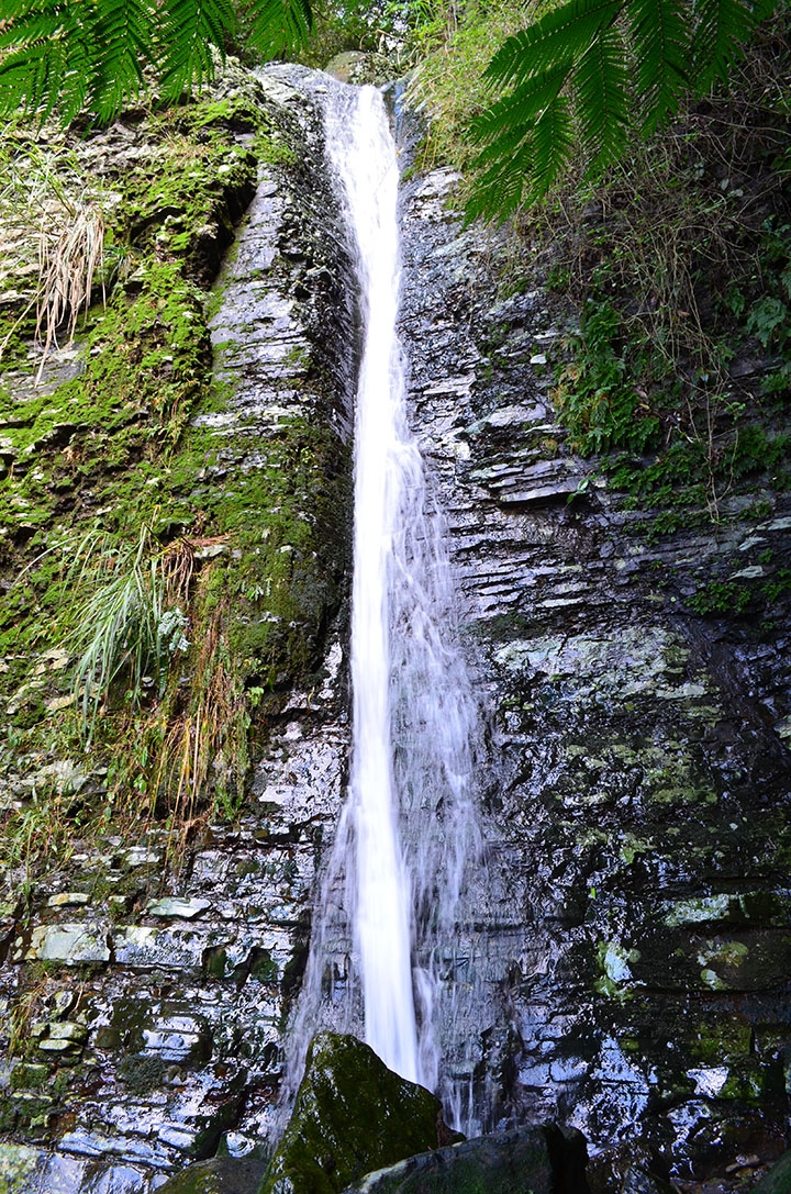 《登山輕漫遊》瑞芳猴硐大粗坑古道