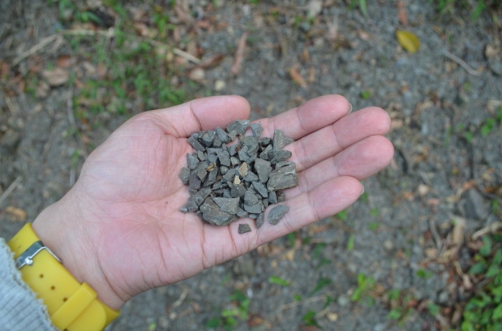 《登山輕漫遊》瑞芳猴硐大粗坑古道