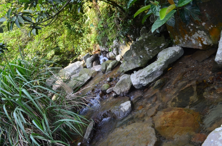 《登山輕漫遊》瑞芳猴硐大粗坑古道