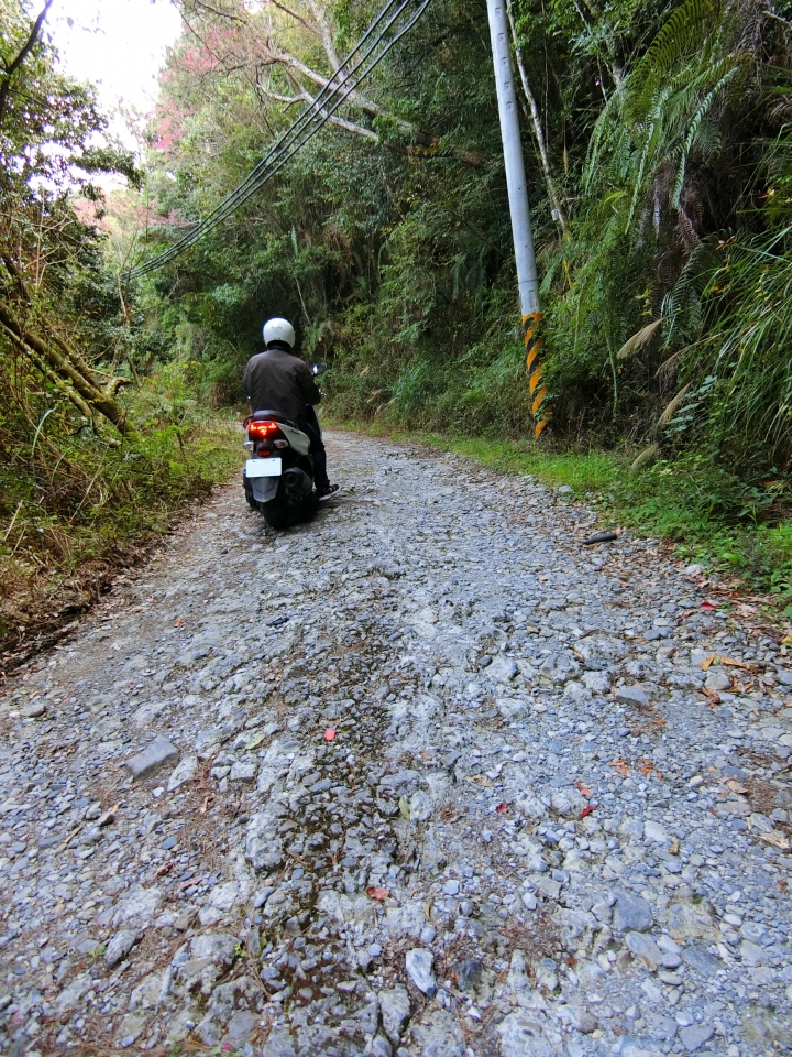 不輸給力行慘道的支線－［佳陽－翠巒產業道路］