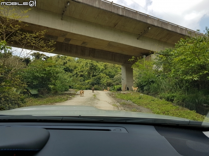 第一次開車送愛心到流浪之家