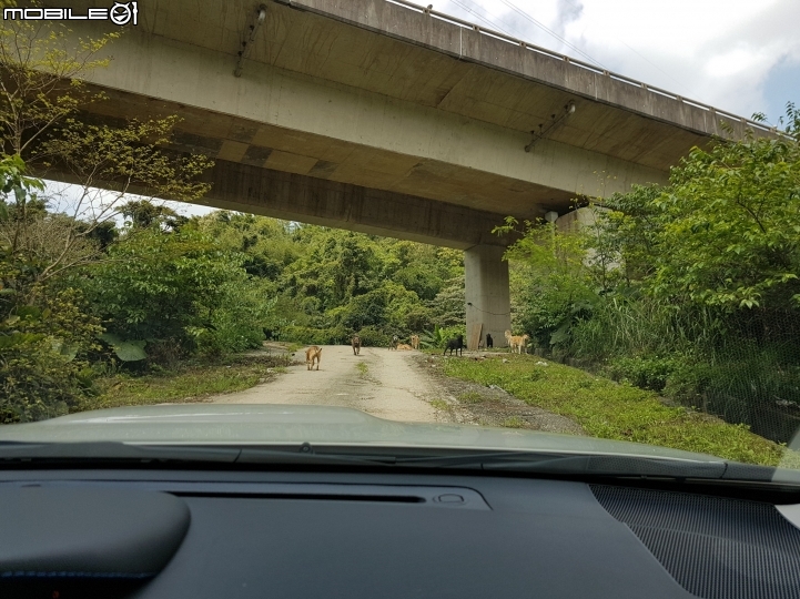 第一次開車送愛心到流浪之家