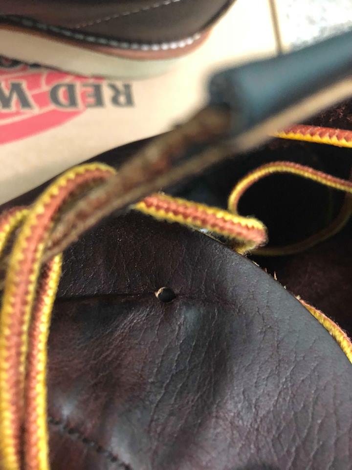 『!!開箱!!』 RED WING 8138 STP 不用4千入手的紅翼 超划算開箱文