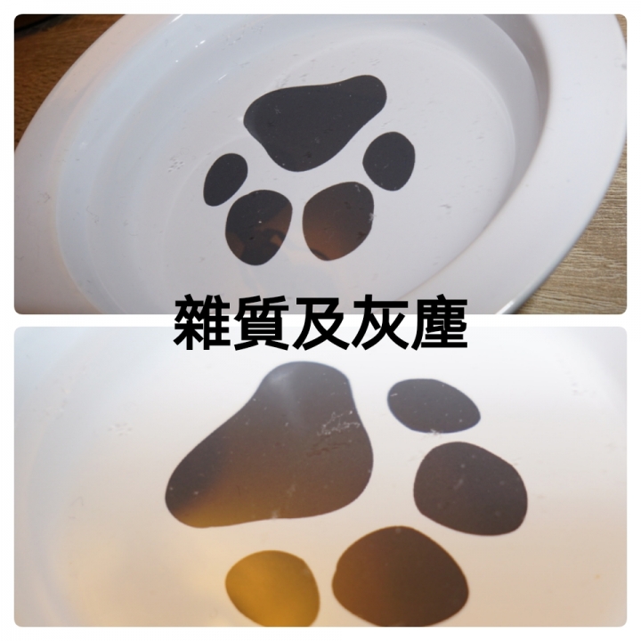 "PETONEER寵物智能飲水機"體驗紀錄