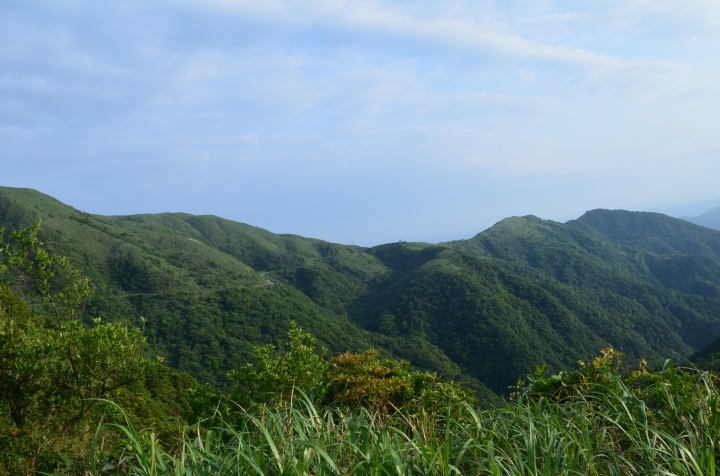 《登山輕漫遊》瑞芳猴硐大粗坑古道