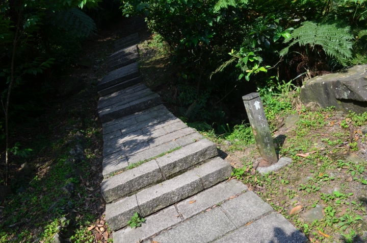 《登山輕漫遊》瑞芳猴硐大粗坑古道