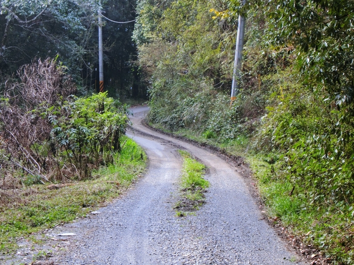 不輸給力行慘道的支線－［佳陽－翠巒產業道路］