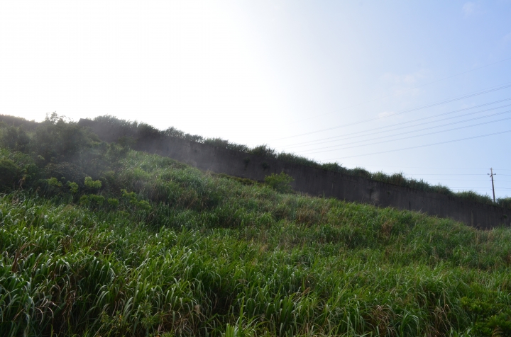 《登山輕漫遊》瑞芳猴硐大粗坑古道