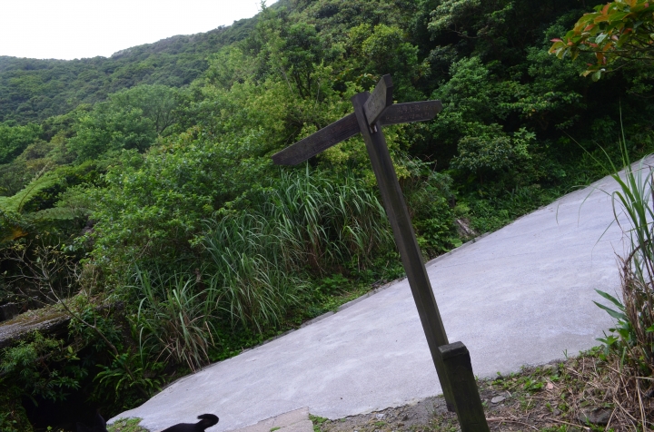 《登山輕漫遊》瑞芳猴硐大粗坑古道