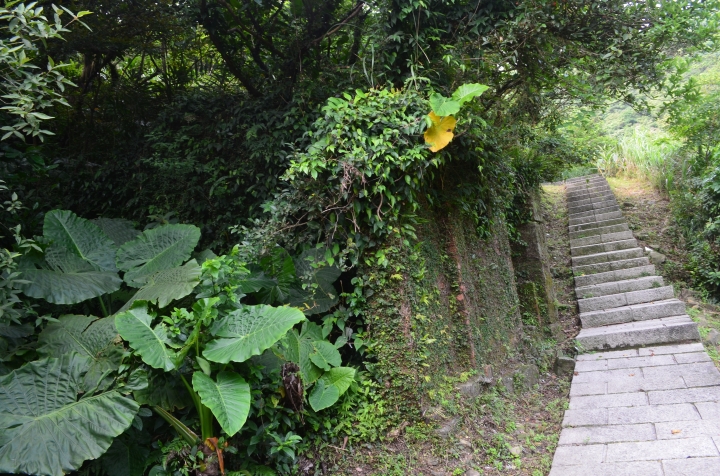 《登山輕漫遊》瑞芳猴硐大粗坑古道
