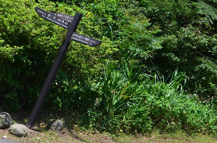 《登山輕漫遊》瑞芳猴硐大粗坑古道