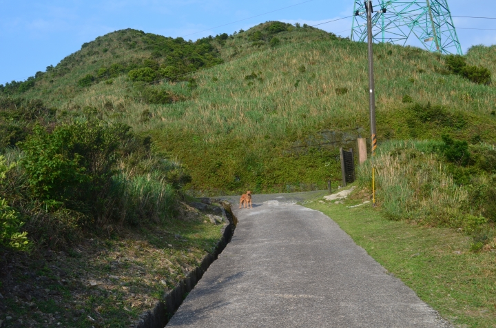 《登山輕漫遊》瑞芳猴硐大粗坑古道