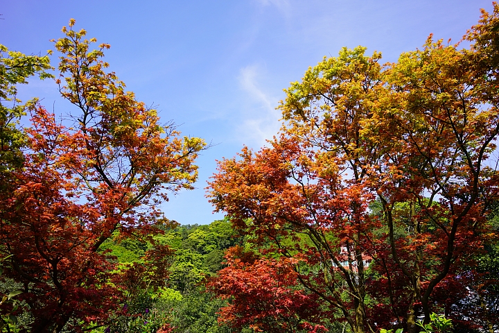 輕巧、高畫質兩者兼顧‧Zeiss Loxia 2.4/25 大光圈廣角鏡評測報告！