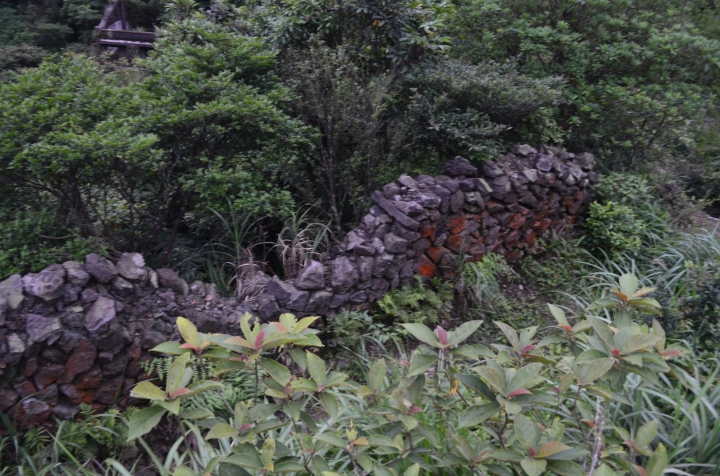 《登山輕漫遊》瑞芳猴硐大粗坑古道