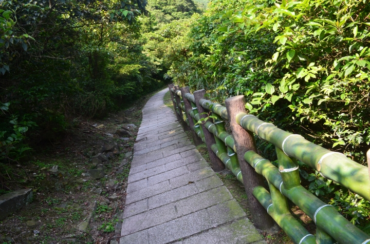 《登山輕漫遊》瑞芳猴硐大粗坑古道