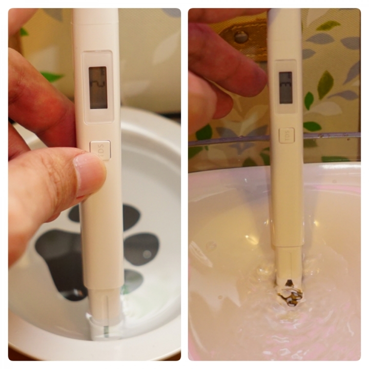 "PETONEER寵物智能飲水機"體驗紀錄