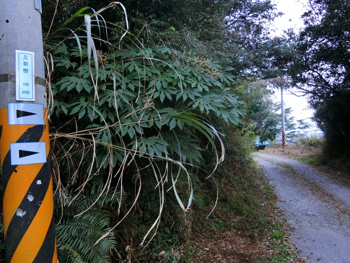 不輸給力行慘道的支線－［佳陽－翠巒產業道路］