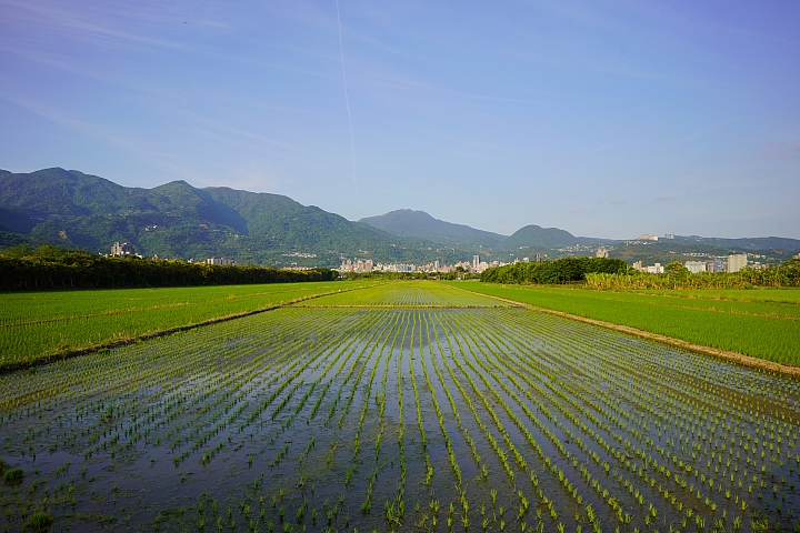 Sony A7R III+ Zeiss Loxia 2.4/25 風景實拍25mm Sony A7R III+ Zeiss Loxia 2.4/25 風景實拍25mm