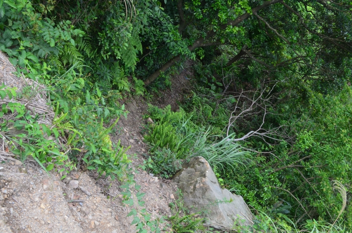 《登山輕漫遊》瑞芳猴硐大粗坑古道