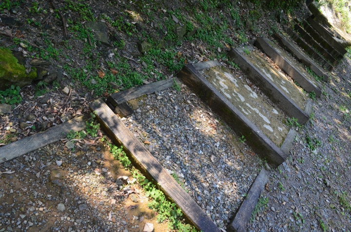 《登山輕漫遊》瑞芳猴硐大粗坑古道