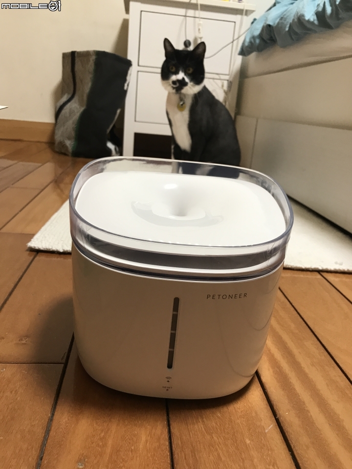 家有公貓喝水進化版---Petoneer 寵物智能飲水器產品體驗分享