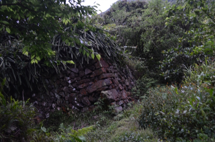 《登山輕漫遊》瑞芳猴硐大粗坑古道