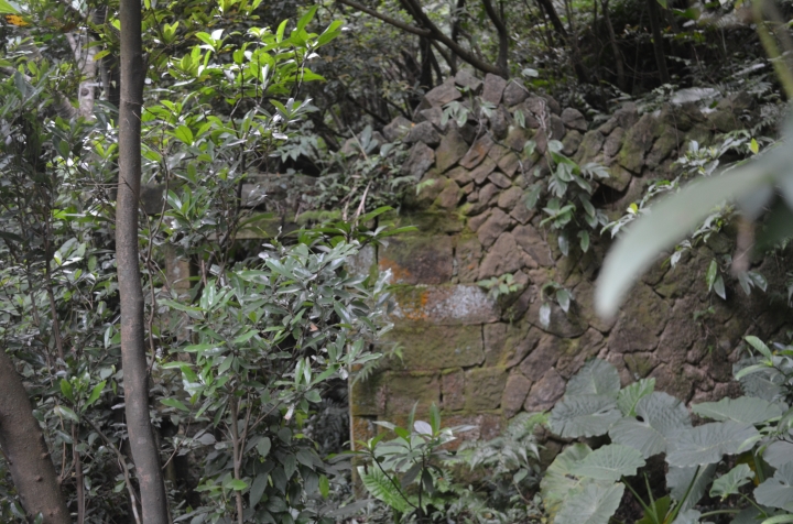 《登山輕漫遊》瑞芳猴硐大粗坑古道