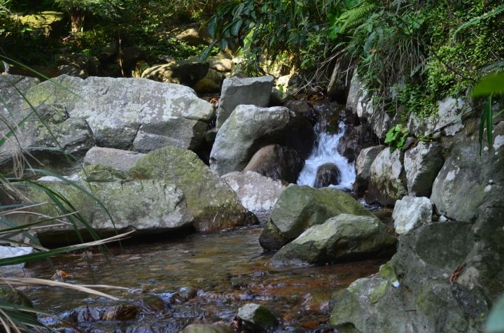 《登山輕漫遊》瑞芳猴硐大粗坑古道