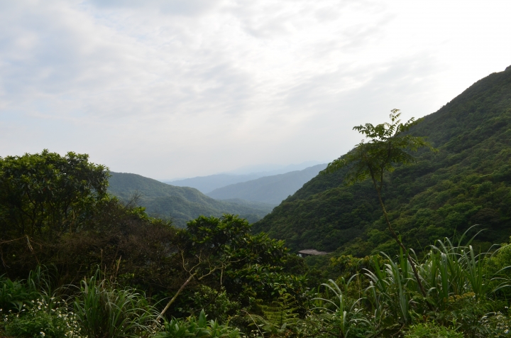 《登山輕漫遊》瑞芳猴硐大粗坑古道