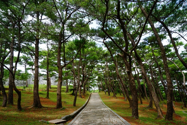 沖繩-402公里遊記
