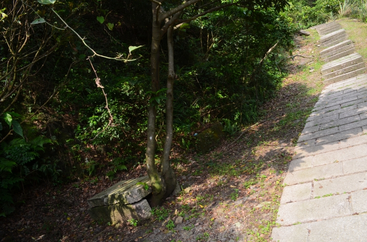 《登山輕漫遊》瑞芳猴硐大粗坑古道