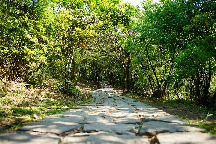 Sony A7R III+ Zeiss Loxia 2.4/25 步道實拍25mm Sony A7R III+ Zeiss Loxia 2.4/25 步道實拍25mm