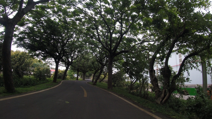 小折向前衝-萬眾騎bike初體驗