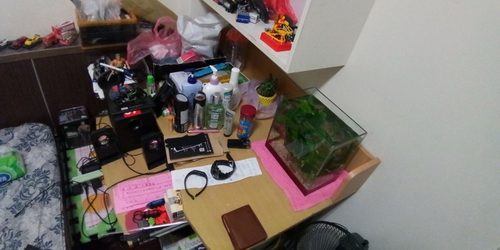 新手養殖蓋班鬥魚問題請教~😥😥