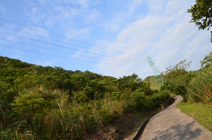 《登山輕漫遊》瑞芳猴硐大粗坑古道