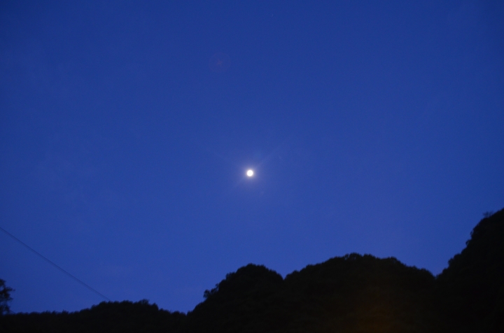 《登山輕漫遊》瑞芳猴硐大粗坑古道