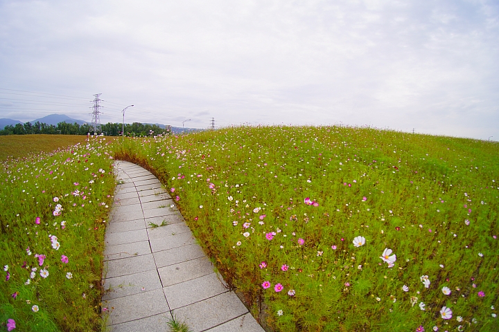 Lomography《Naiad 15mm》前鏡頭實測 拍攝樣本 Lomography《Naiad 15mm》前鏡頭實測 拍攝樣本