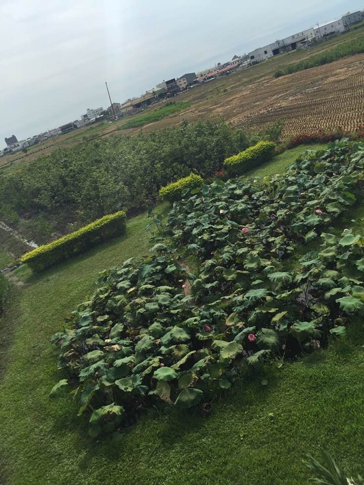 騎腳踏車環島Part4 一片小蛋糕的台中與彰化